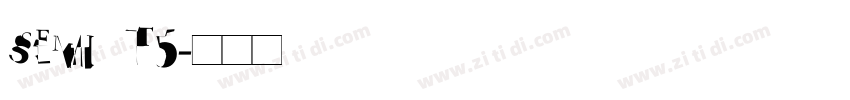 SEMI T5字体转换
